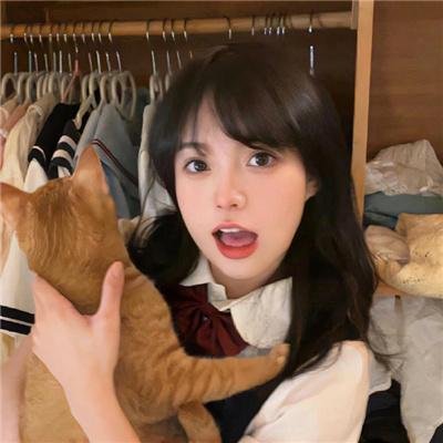 飞燕迎春